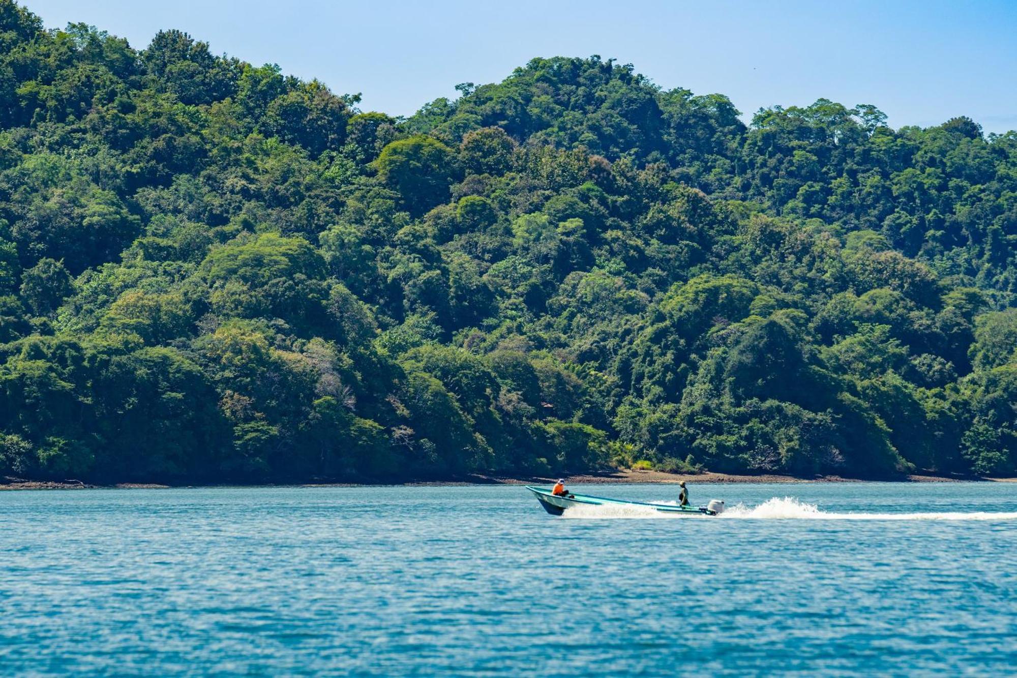 Isla Chiquita Glamping Hotel Paquera Eksteriør billede
